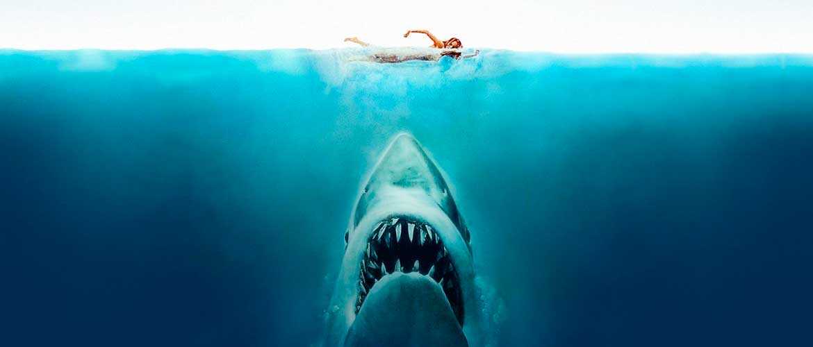 ТОП лучших фильмов про акул